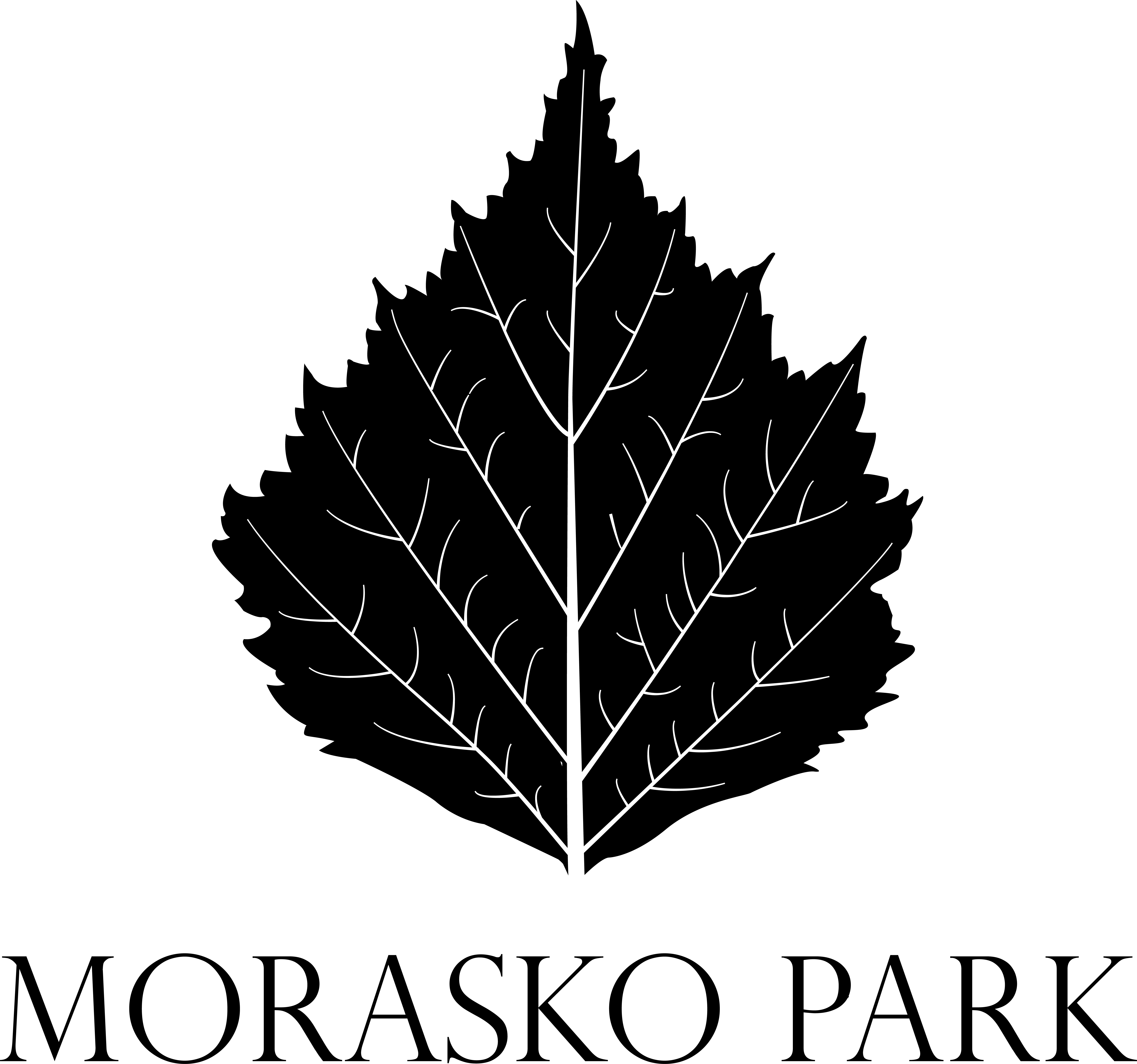 Morasko Park
