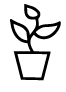 roślina